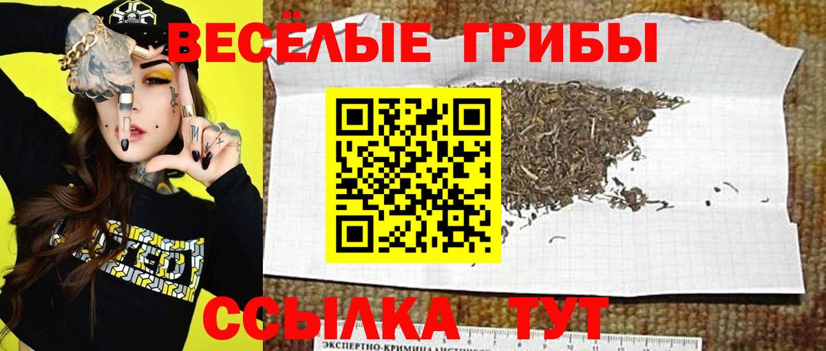 Вязники  Галлюциногенные грибы Psilocybine cubensis  Псилоцибиновые грибы мицелий  Вход с VPN 